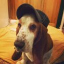Adam Macholz - @MrMatcholz - Twitter