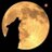 profile rt