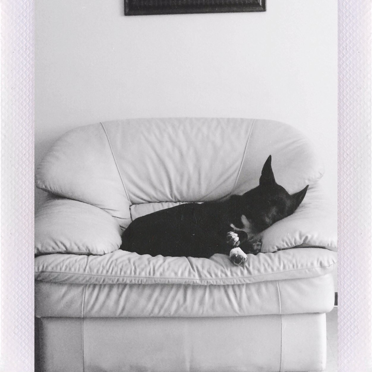 J_Boogiee_'s profile picture. 