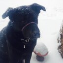 Abby Nim - @k3yb0ardk113r7 - Twitter