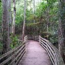 robert woods - @robertwoods333 - Twitter