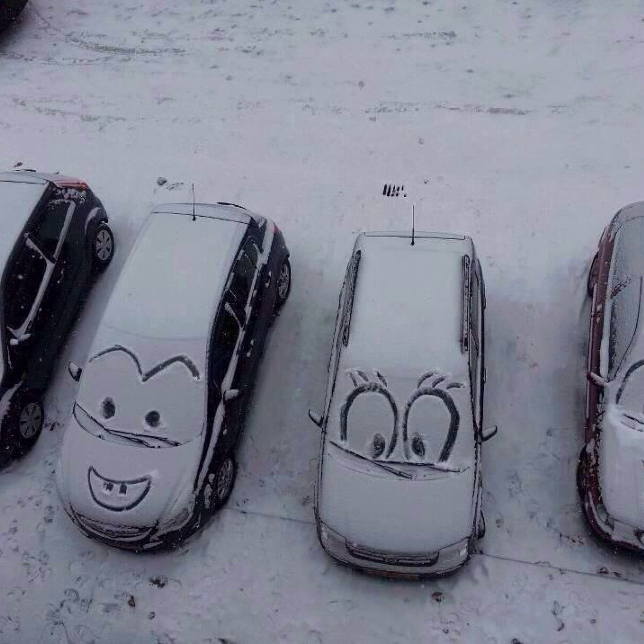 Josman_CM's profile picture. 