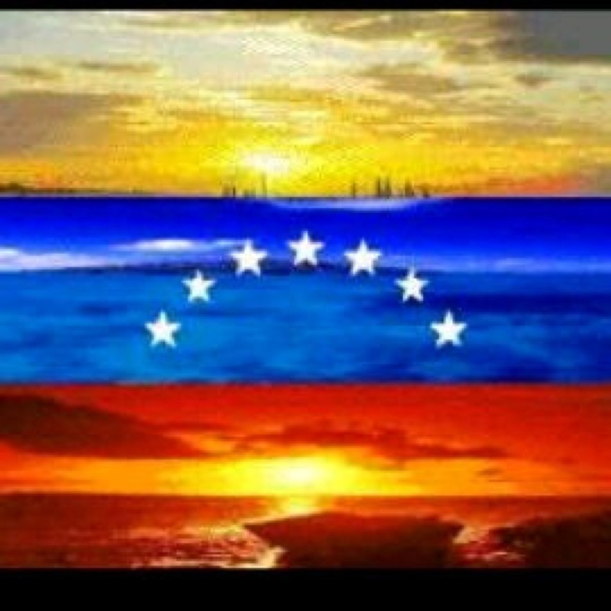 tomaspinelli's profile picture. 