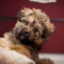 Mckenzie Beasley - @KenzBeas - Twitter