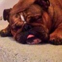 Dave Nixon - @jdnix112 - Twitter