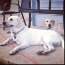 Jamie Sup - @jamsajammin - Twitter