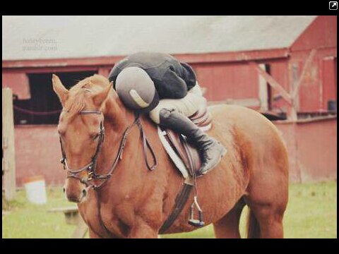 As addicting as cocaine, and twice as expensive. Here's to you. The riders. | DM me suggestions.