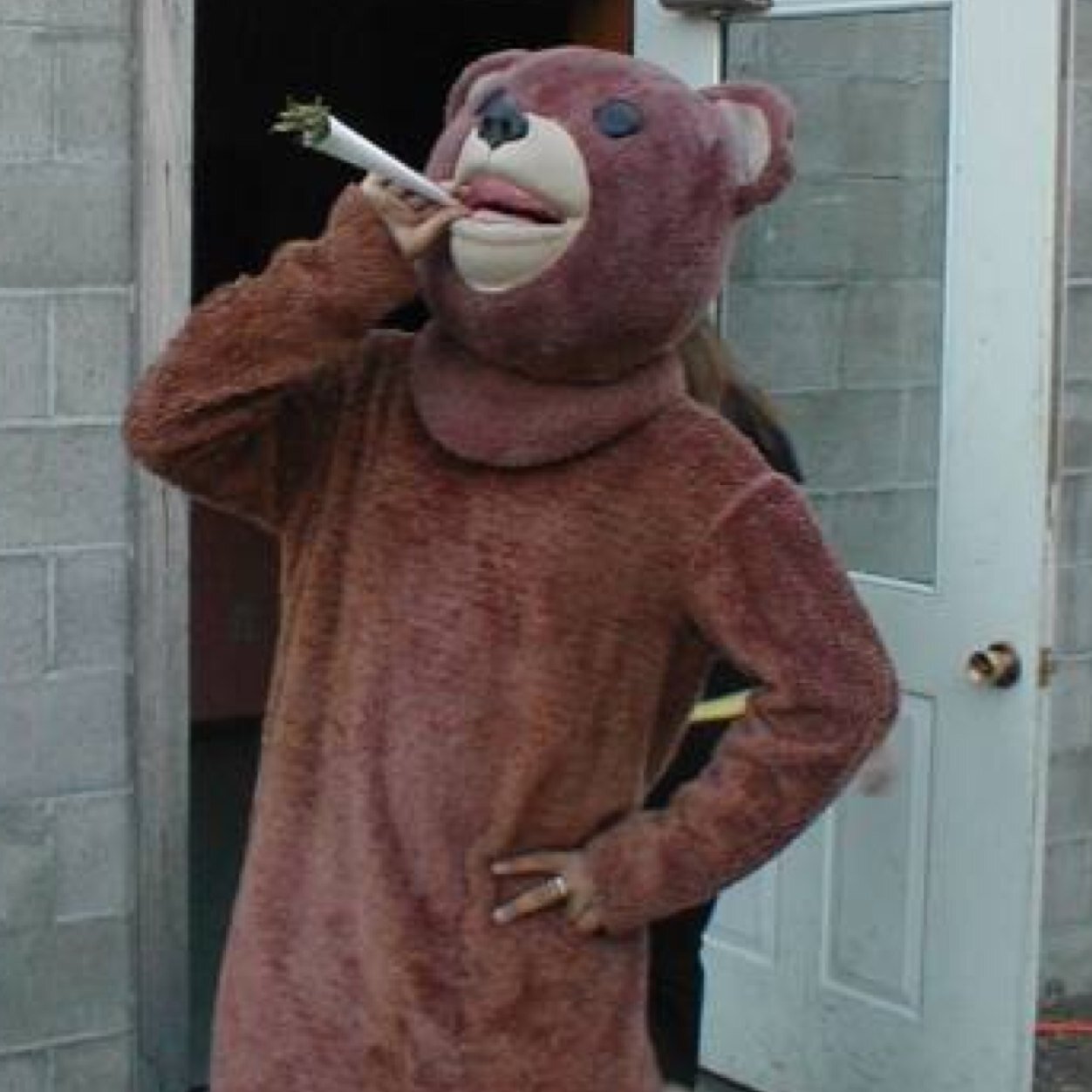 MSU_Stoner Profile Picture