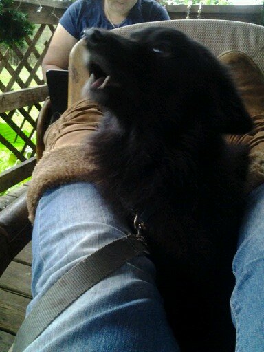 selenalovesyeww's profile picture. 