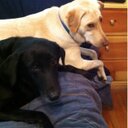 CherylHatfield - @CherylHatfield - Twitter