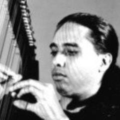 Upbeat Harpist. Instrumental High-Energy Contemporary Latin Jazz. Opening act for Ray Charles, Dave Brubeck & others. Author, Recording Artist & Music Producer