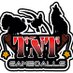 TNT Game Calls (@tntgamecalls) Twitter profile photo