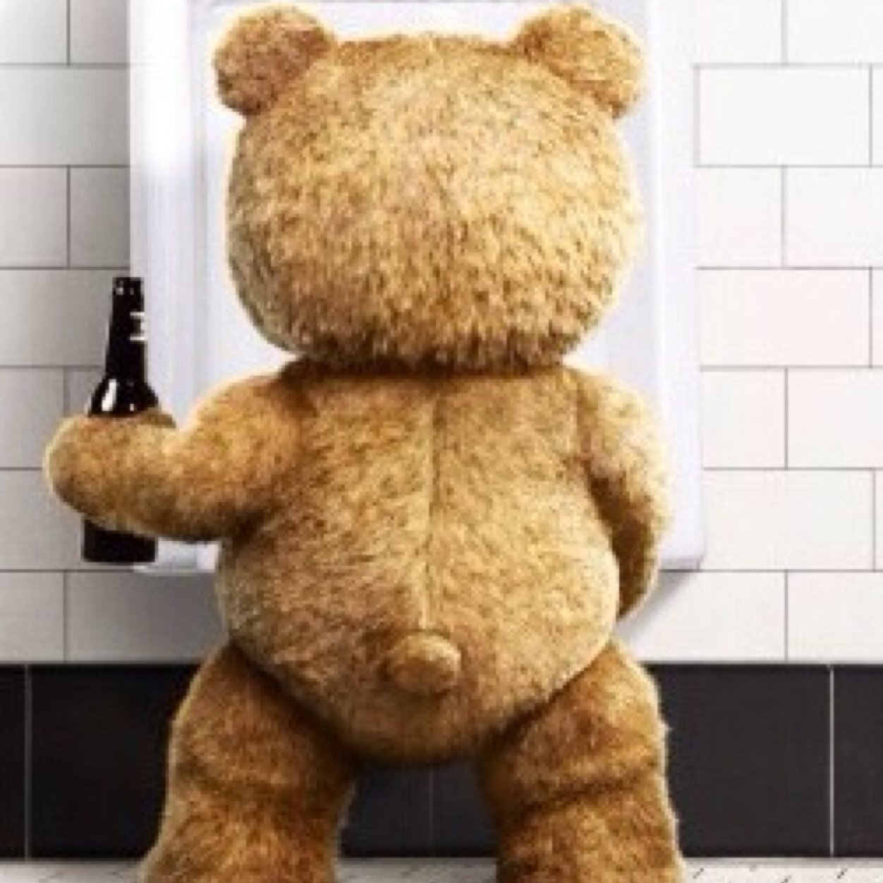 tedp73's profile picture. 