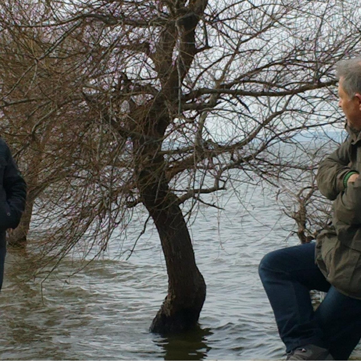 YASUNALSER's profile picture. 