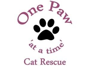 Cat Rescue in Bradford & Leeds - Helping Cats One Paw at a time