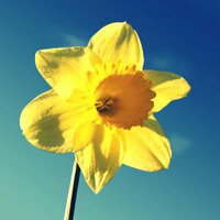 Welsh Bloggers (@welshbloggers) 's Twitter Profile