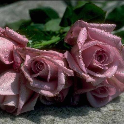 raquelpr1998's profile picture. 