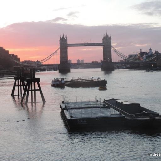 MelvynDresner's profile picture. 