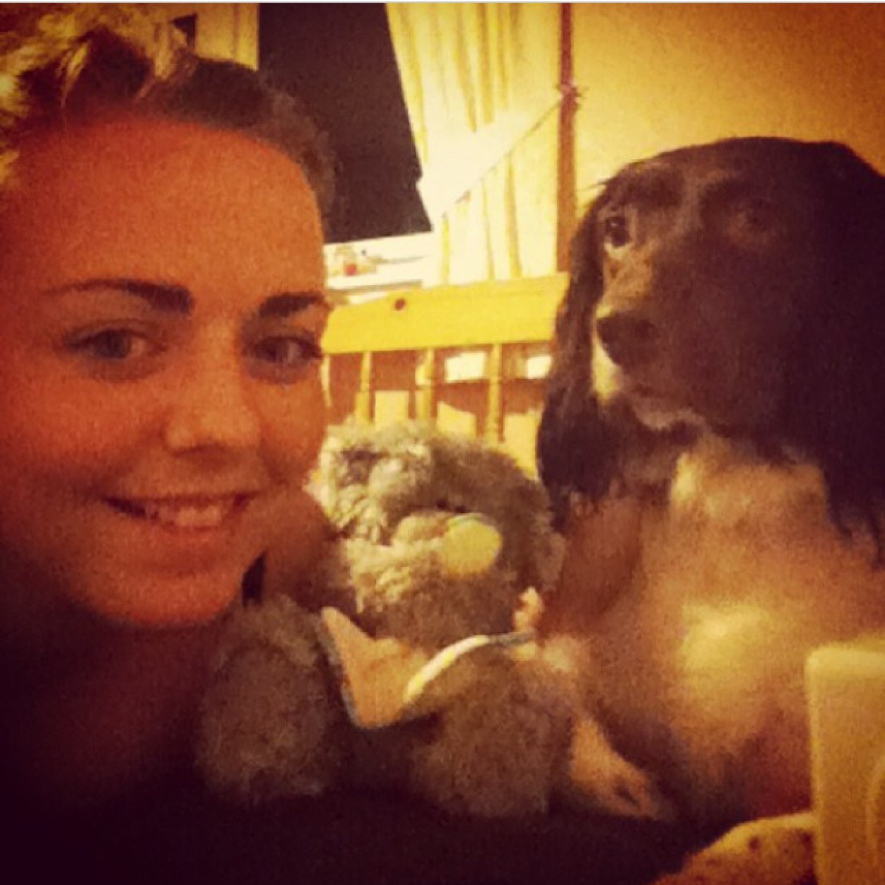 LesleyxP's profile picture. Leo 🐶💙