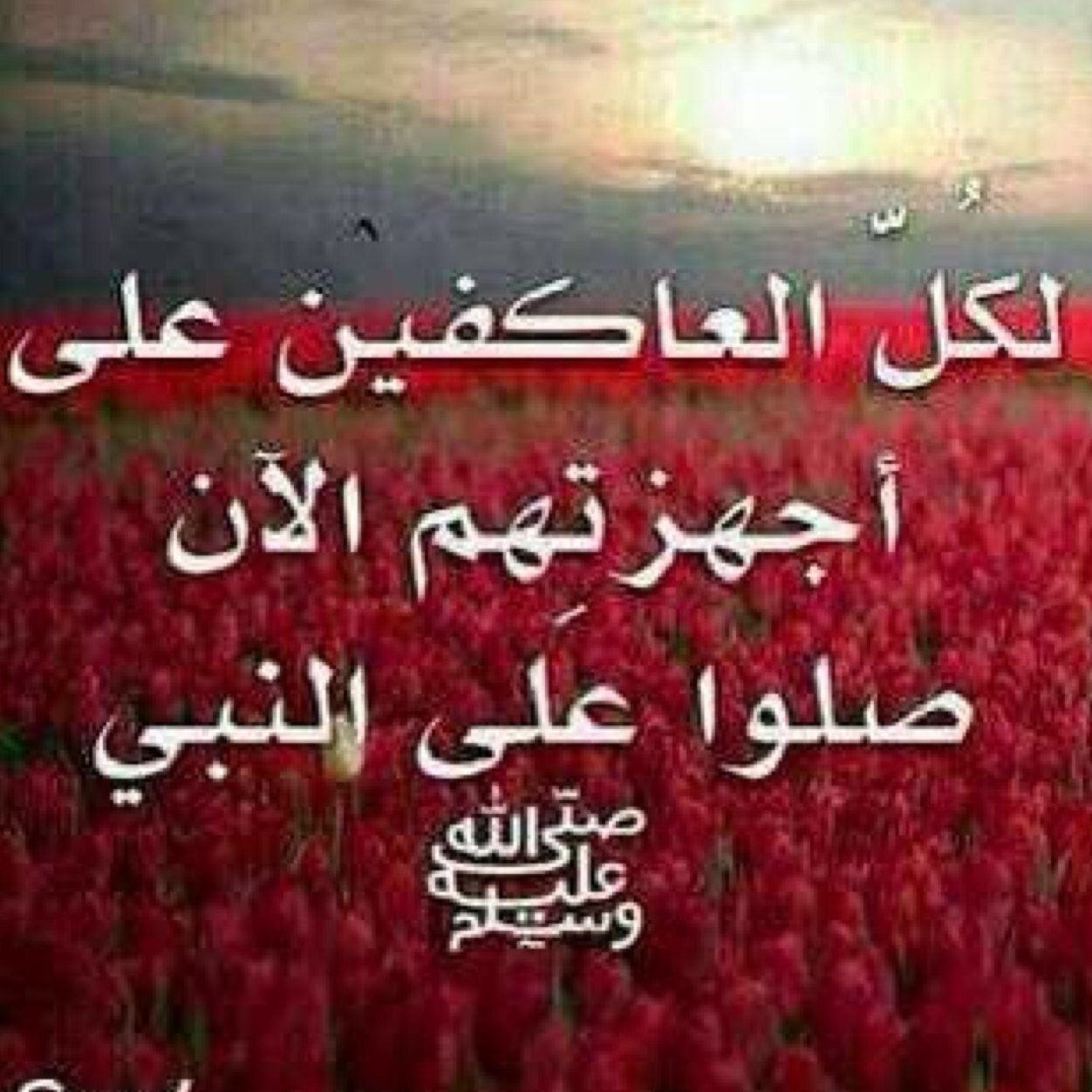 لا إله إلا الله محمد رسول الله كل ما يعجبني من تغريداتكم احفظها بمفضلتي ...ksa الرياض
اللي يسوي فلو ويرجع يحذف اذلف بعيد عن صفحتي يا أناني..