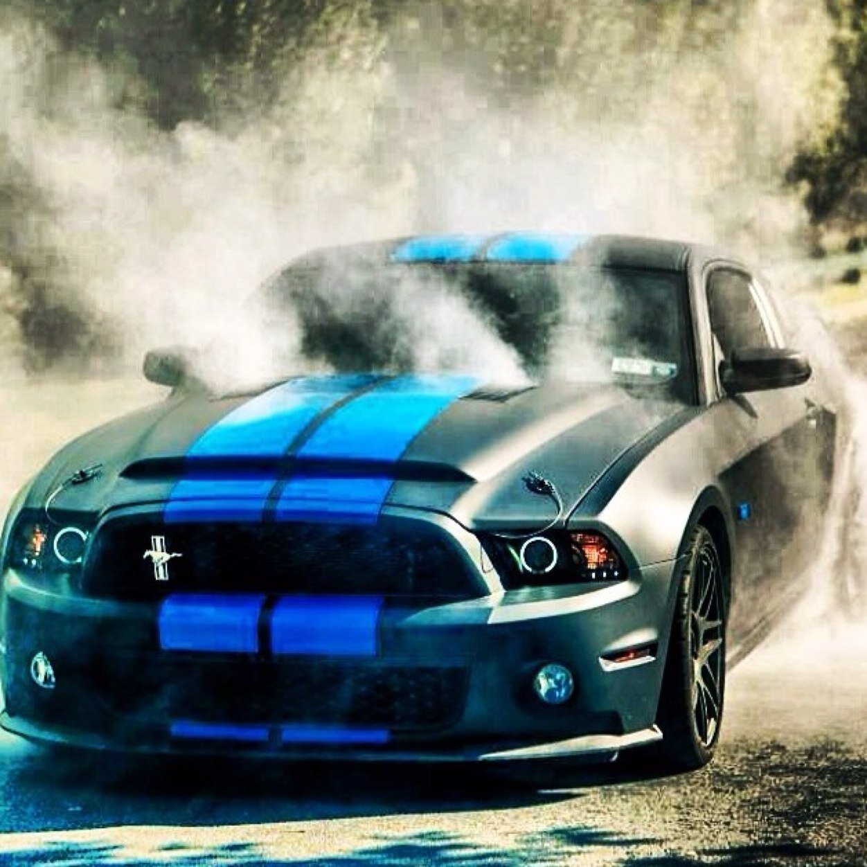 MUSTANGS