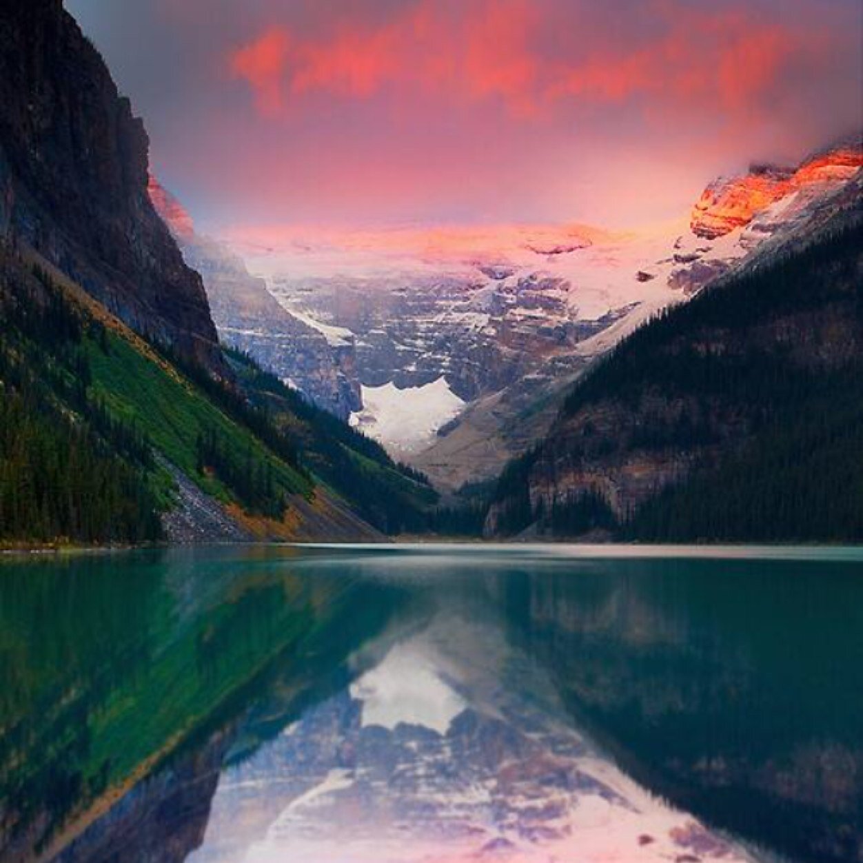 remembernature's profile picture. Environmental enthusiast trying to open up the minds of others by ranting about government, environmental issues, spirituality and more✨ #RevolutionFollowTrain