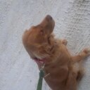 donnie cameron - @DonnieCameron - Twitter