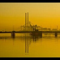 Pat Kane (@patkane7) 's Twitter Profile