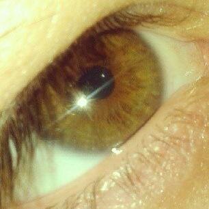 Homer__Boss's profile picture. nacido aya en sinaloa donde se aprende a matar