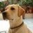 Profile Picture of Buen Juicio (@@CarlosClimentDu) on Twitter