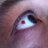 campoggi's profile image