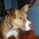 Frank Samuels - @samuelsf0326 - Twitter