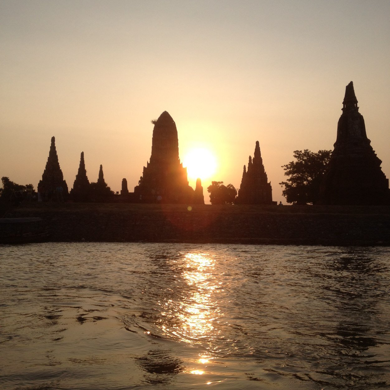 BereniceGalli's profile picture. 