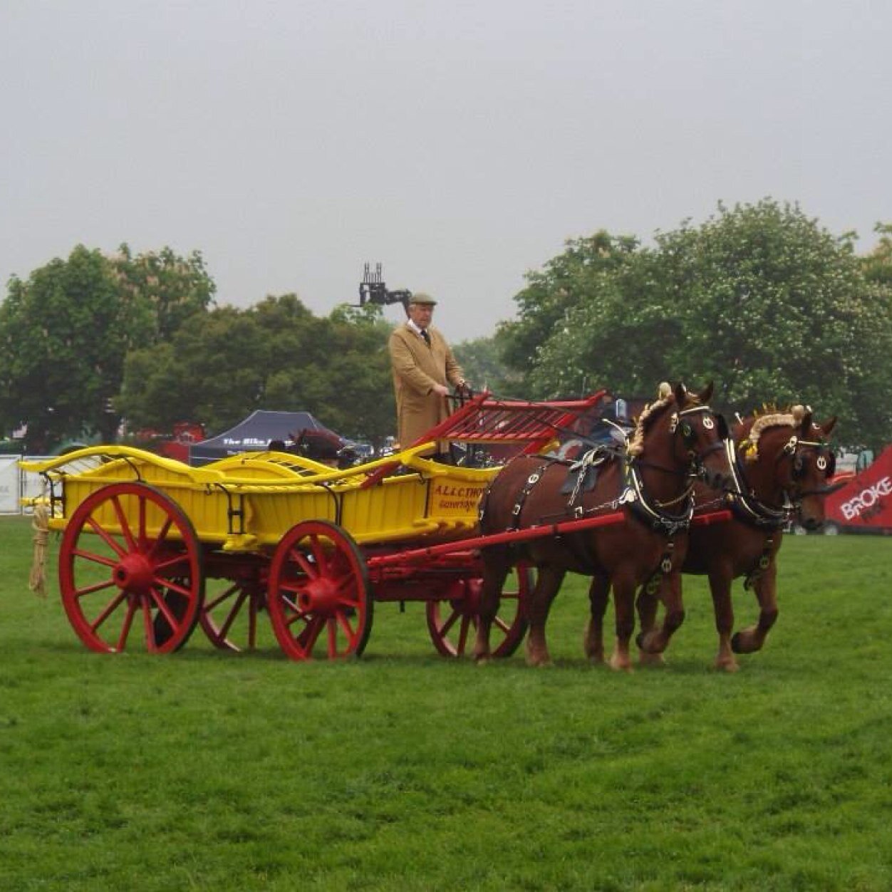 Breeding Suffolk horses and Aberdeen Angus cattle. .
