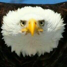 jodi32069's profile picture. 