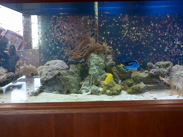 soniagebrangebr's profile picture. 