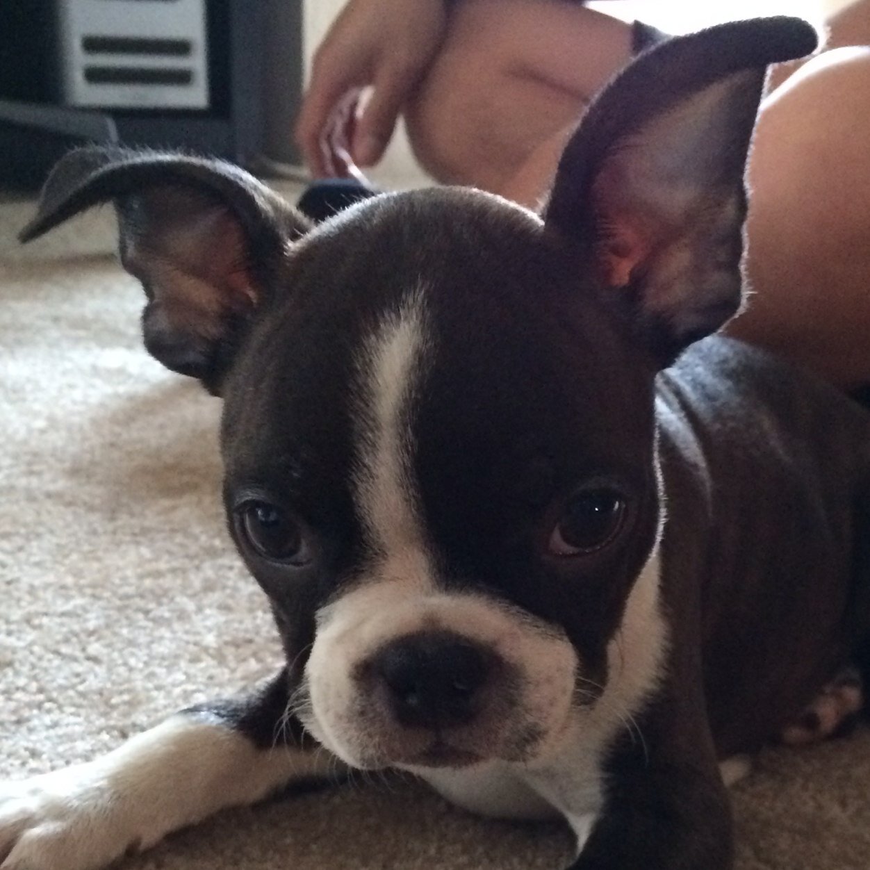 cadeeezy's profile picture. 