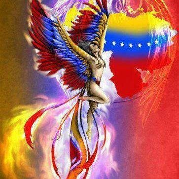 iramaocando's profile picture. 