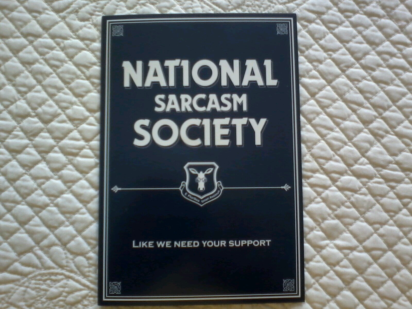 cjwebb261's profile picture. 