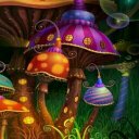 Darla Bailey - @DarlaBailey15 - Twitter