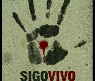 Busshalo's profile picture. 