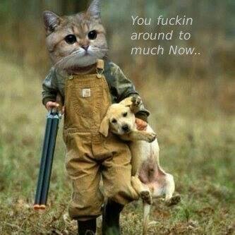 #DBL.......Follow me and i shall follow back #teamfollowback