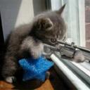 Renee Todd - @Renee_Todd - Twitter