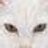 wendyjanewhite's profile image