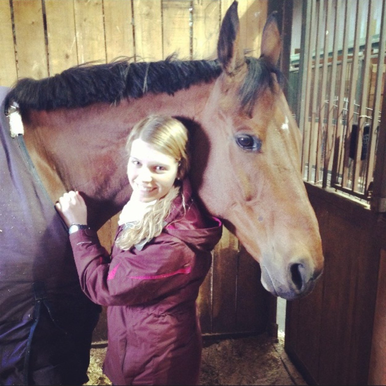 Annie_Baileyy's profile picture. AU Varsity Equestrian Team