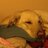AmyLiss25's profile image