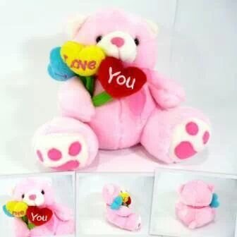 Kami menjual boneka secara Grosir dan Retail (eceran) dengan pengiriman keseluruh Indonesia. Order via SMS 08889360773
BBM: 3275135A