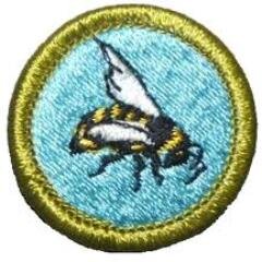 PeterBauerSM's profile picture. A returned Peace Corps Volunteer and Master Beekeeper, and holds a bachelor’s degree from the California State University East Bay – in History.