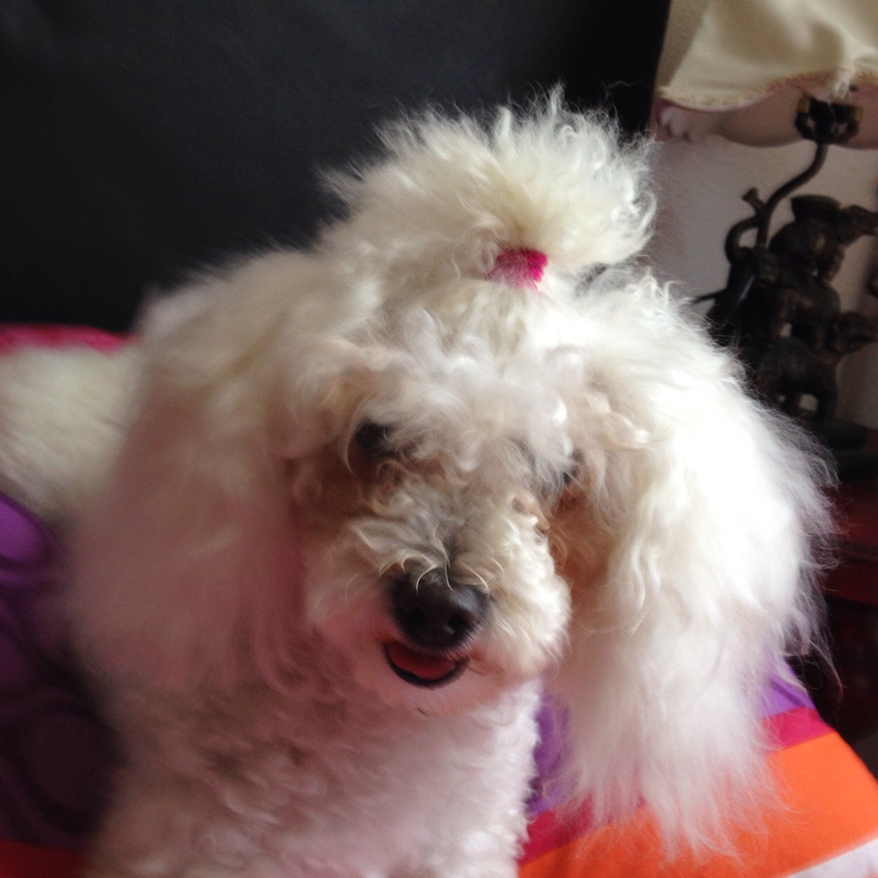 selma_garrido's profile picture. 