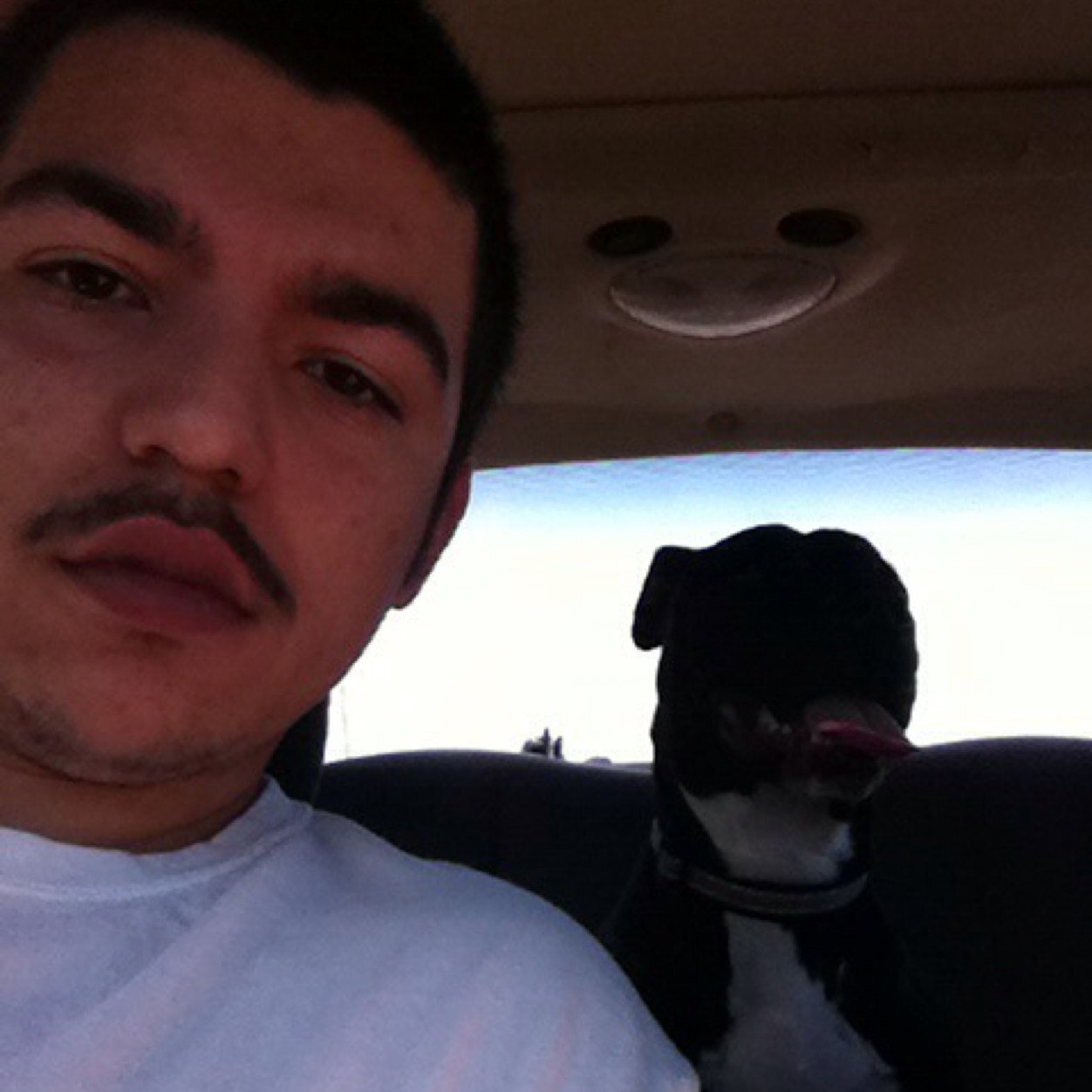 Exx_Ohh's profile picture. Sucking nips n bruisin hips since '94